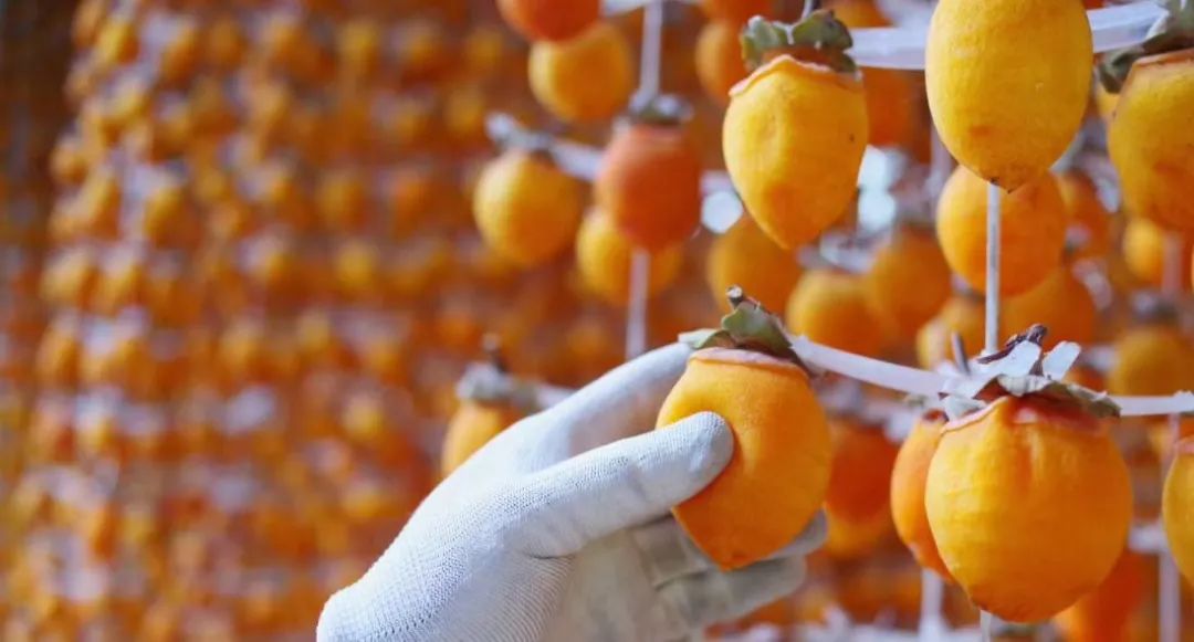 捏柿子也是有一番讲究: 头遍捏心,二遍捏块,三遍揉捏.