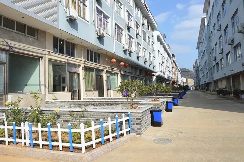 海游街道这个村开启"盛世美颜",按下美丽乡村"快进键"!_杨村