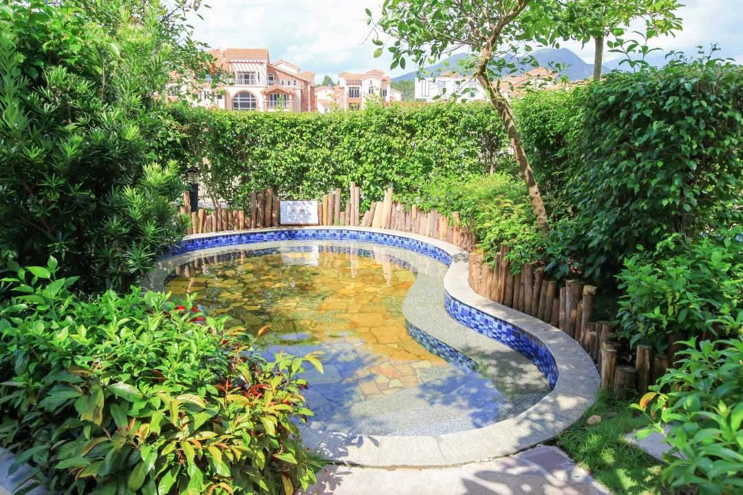 12月28日禅都新兴天露山赏梅·阳春春湾石林二天休闲自驾