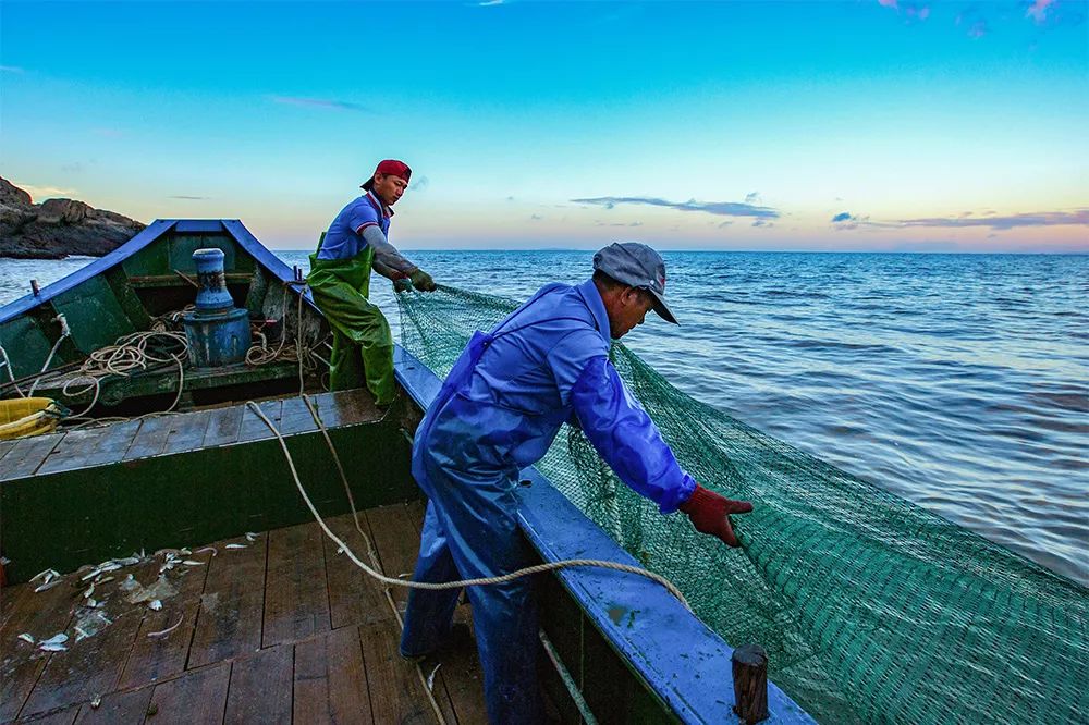 震惊野生海鲜竟可以直接配送上门从码头到你家仅需1天