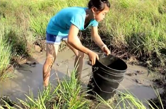 徒手抓螃蟹的越南女人在她回头的那一秒我承认看呆了