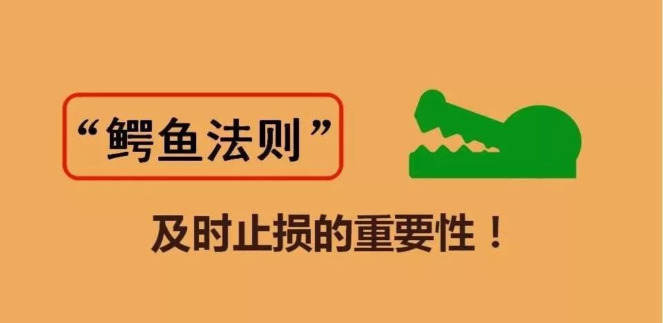 投资者教育鳄鱼法则及时止损的重要性