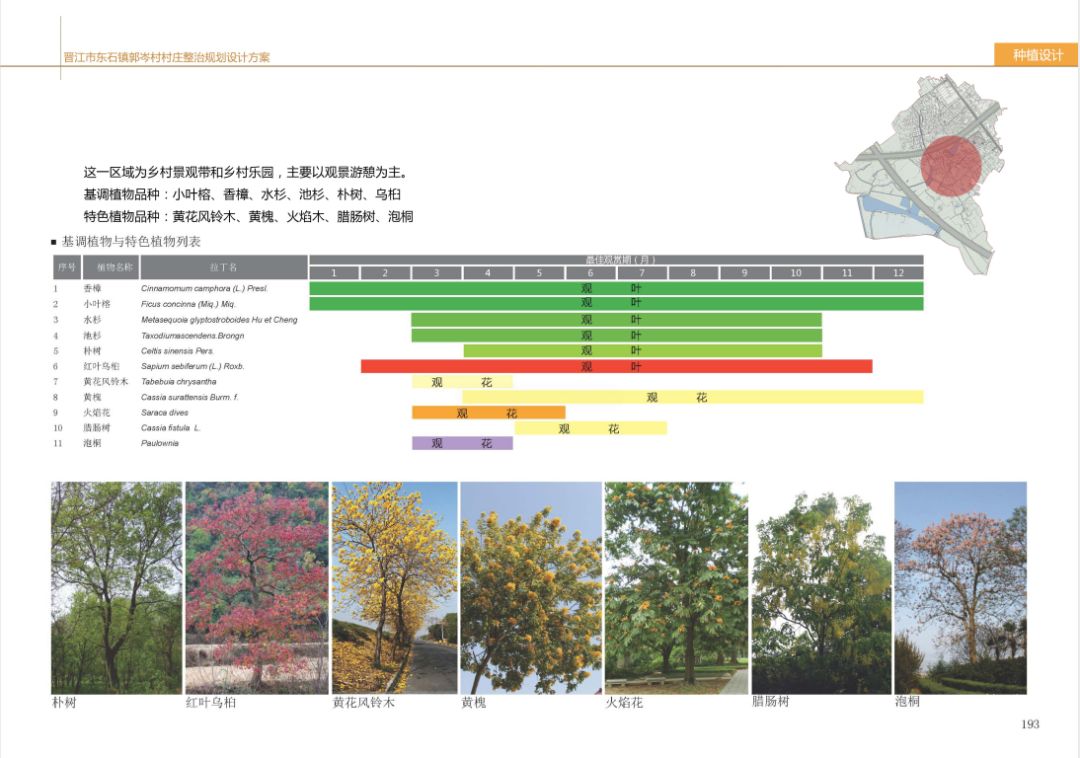 东石镇郭岑村村庄整治规划设计案例