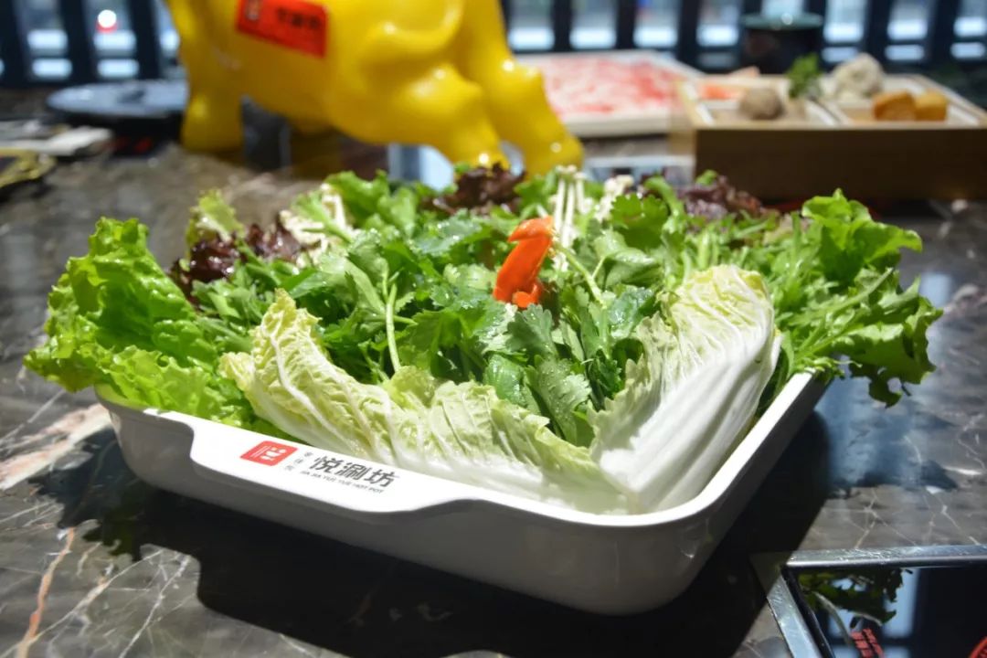 环境味道5星的火锅店,吃火锅吃出满满高级感,138元抢超值3-4人餐!