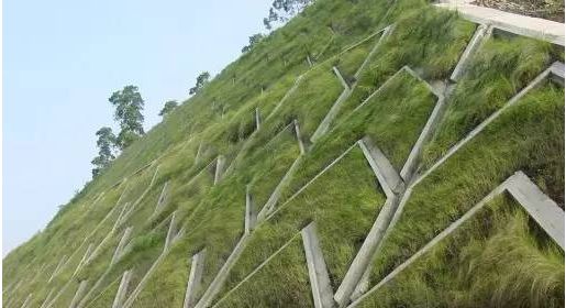 浆砌片石骨架植草护坡图片