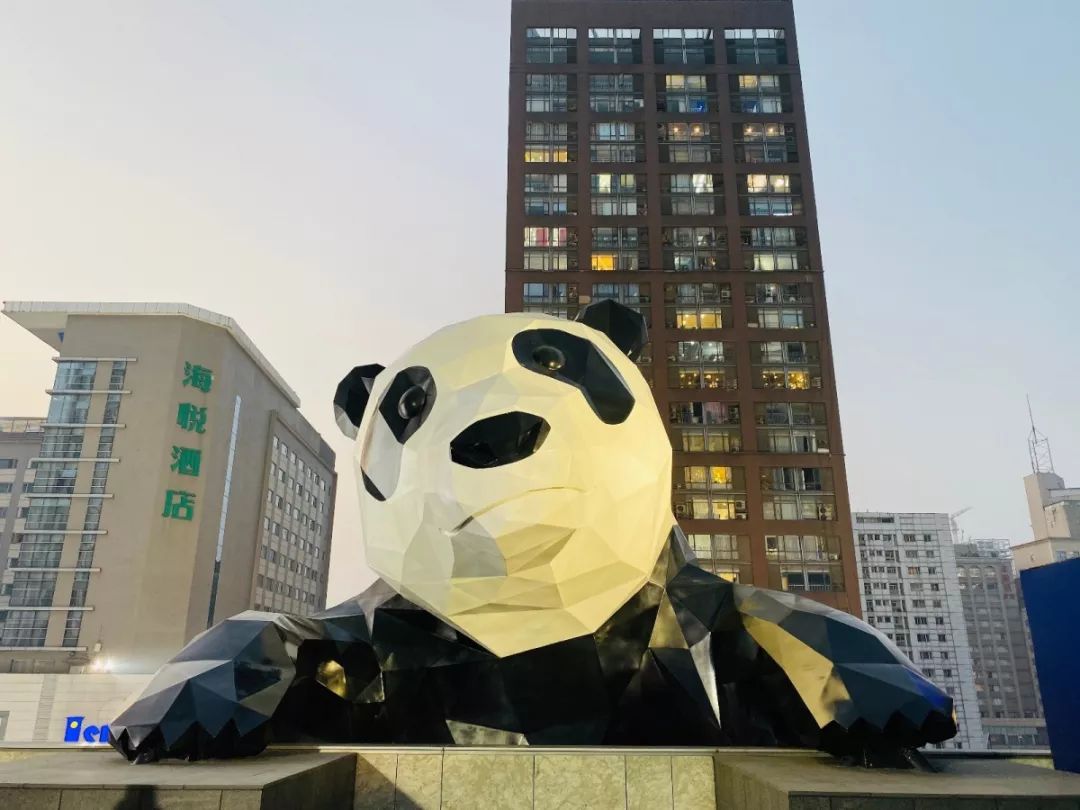 家住成都春熙路网红熊猫爬上五一广场性格麻辣把竹林都搬来了