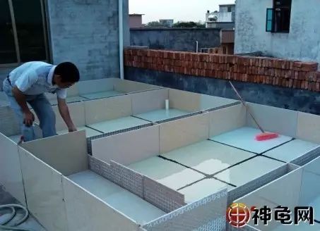 入门级瓷片龟池怎么建造?这里有超详细讲解!