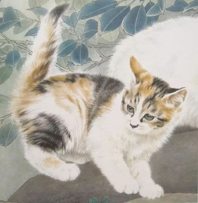 图文教程:邢诚爱工笔猫的画法