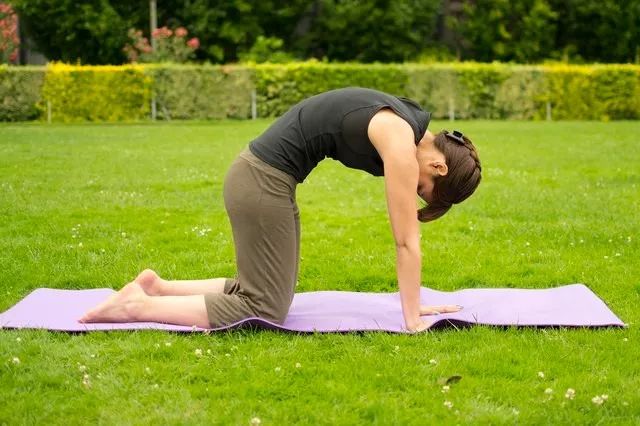 8个瑜伽动作灵活脊柱告别僵硬