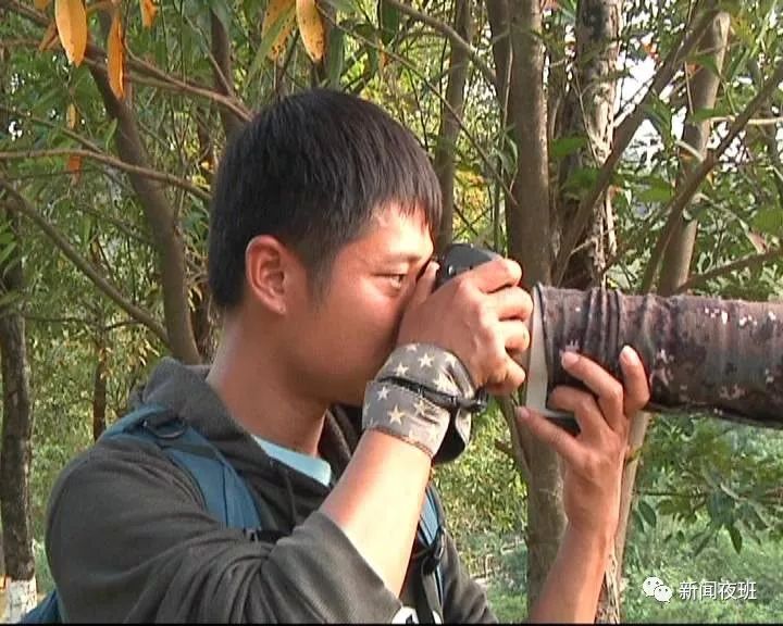 蛇、松鼠、黑翅鳶、小浣熊齊上陣……動物出沒請注意！ 寵物 第3張