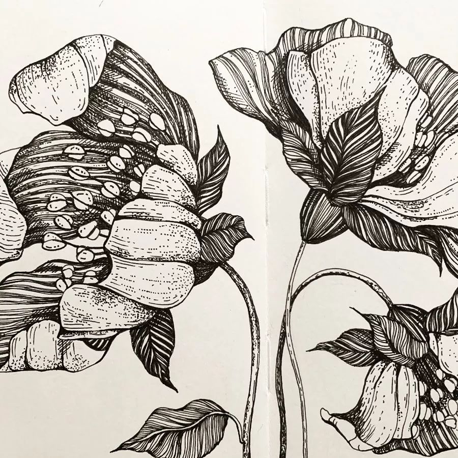 教你用一支针管笔画出漂亮花卉小白快速逆袭成大神