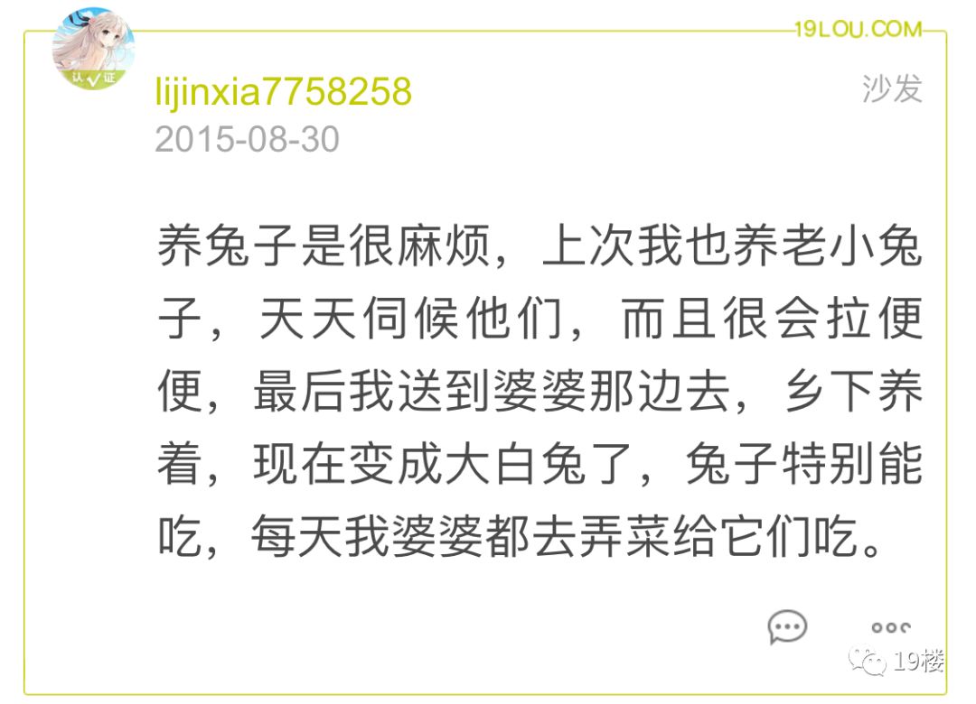 杭州32歲男子因在家裡養了兩隻虎皮鸚鵡，被妻子說成「精神分裂」！網友炸了…… 寵物 第10張