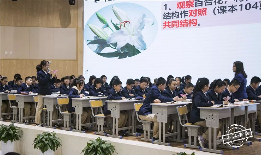 曲江二中这堂课获赞无数!