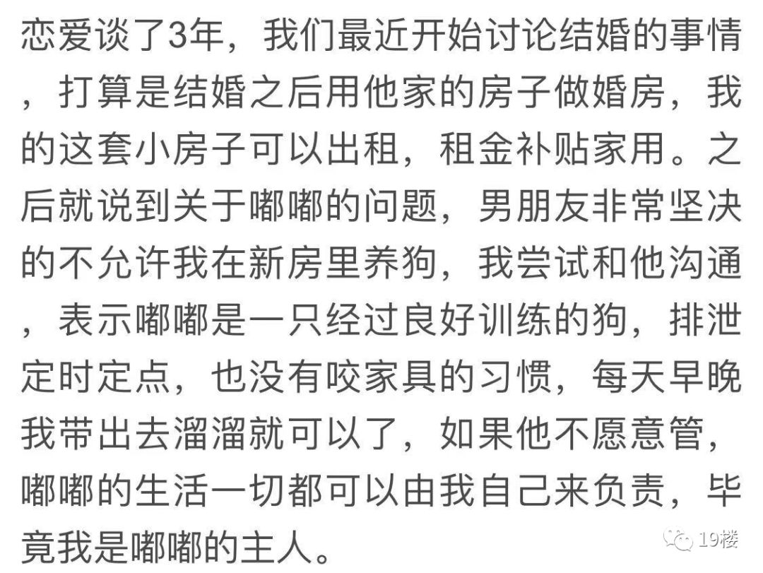 杭州32歲男子因在家裡養了兩隻虎皮鸚鵡，被妻子說成「精神分裂」！網友炸了…… 寵物 第16張