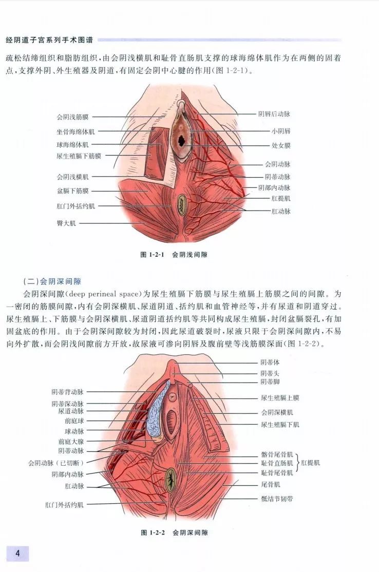 荐书 