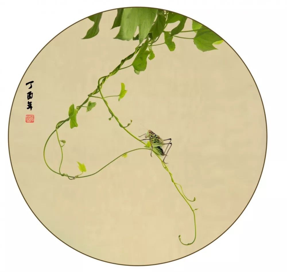 浅谈画意摄影_作品