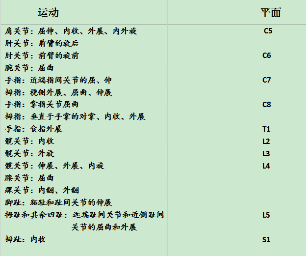 脊髓損傷的非關鍵肌