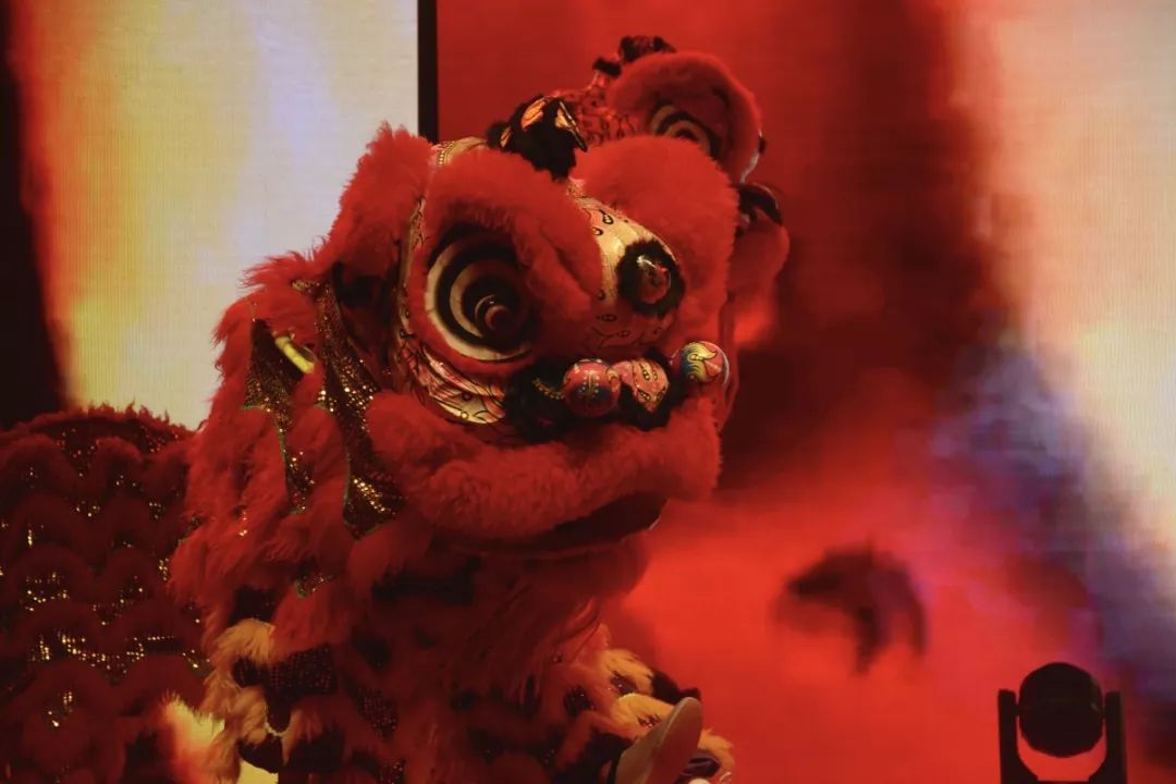 武术协会带来开场秀《瑞狮献福》,醒狮点睛,迎祥纳吉,寒光凛凛拳金毛