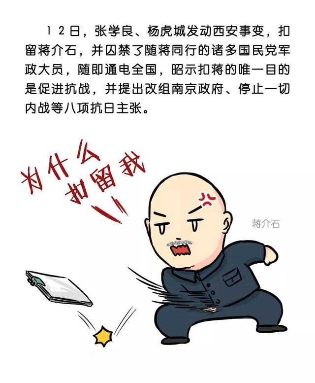 你不该忘记的还有这些._蒋介石