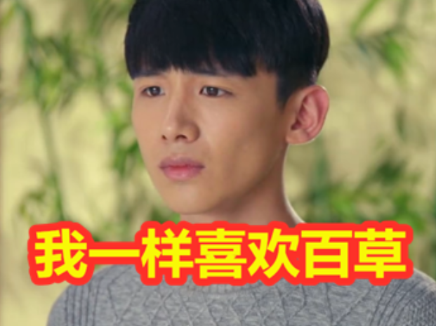 旋风少女:喜欢百草的有4个,若白不用说,最后一个是认真的?