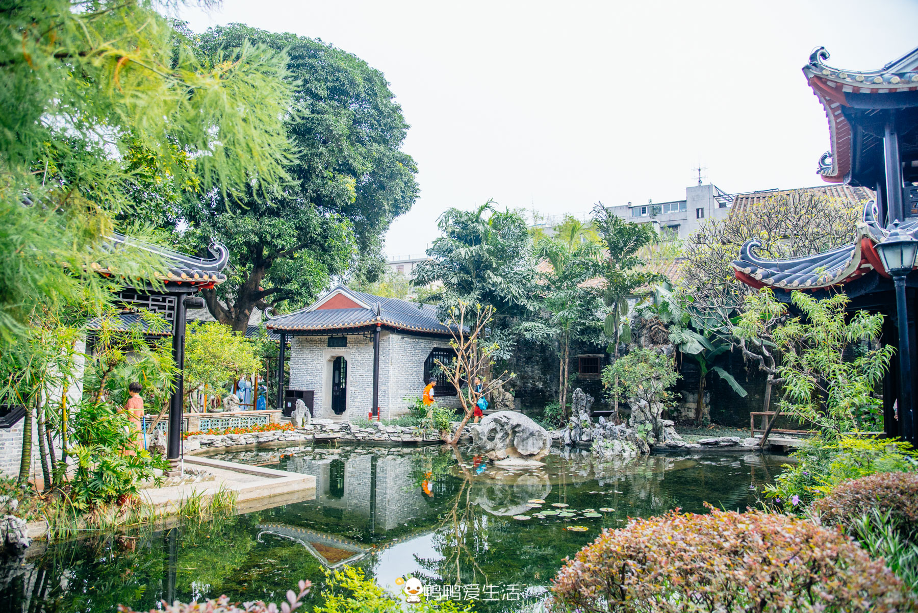 原创岭南四大园林之一,叔侄四人历时四十余年建成,逢周六免费开放