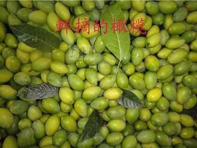 1300年前已是贡品,被称作"果中极品",一斤60元,至今很稀罕_檀香