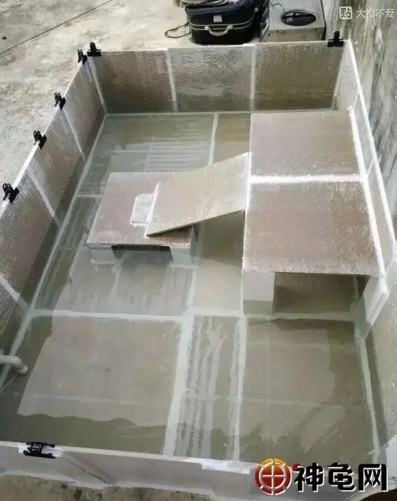 入门级瓷片龟池怎么建造?这里有超详细讲解!_施工