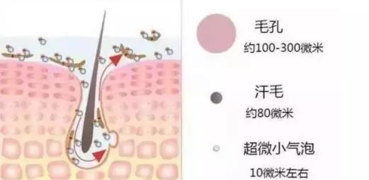 黑头闭口去无踪,这些小秘密我才不告诉别人呢! 黑头闭口去无踪,这些小秘密我才不告诉别人呢!
