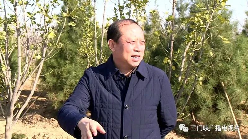 副市长高永瑞到陕州区调研生态廊道建设及森林防火工作