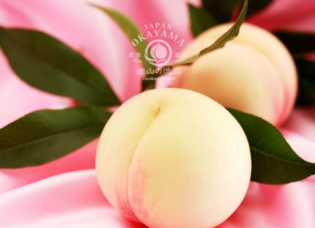 日本几百块一个的白桃酿成水果酒后这画风这味道绝了感受一下