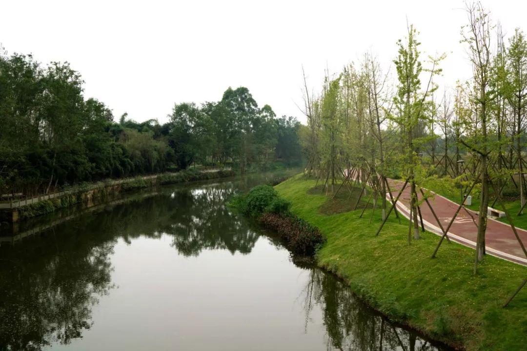 公園城市新區印象鹿溪智谷綠道