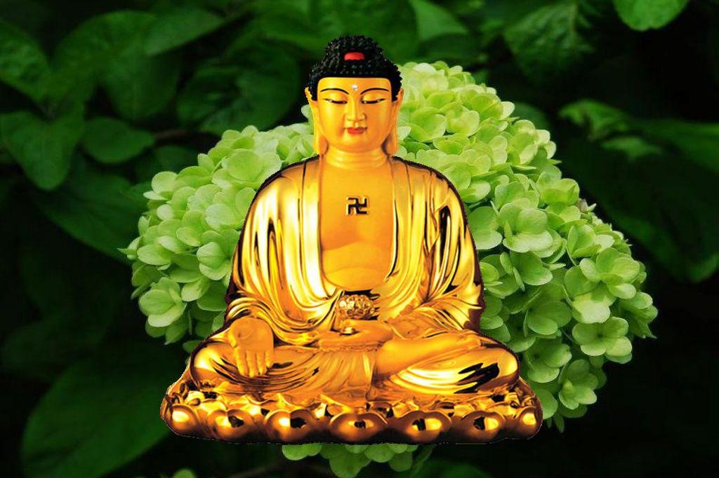 南无阿弥陀佛圣号白玛多吉唱诵美妙佛音静心消烦恼