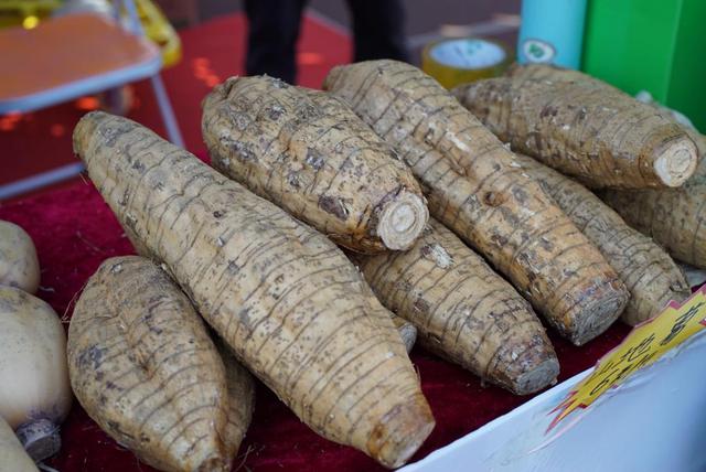 好食材真高明丨舌尖上的高明味道2019高明绿博会暨粉葛文化节