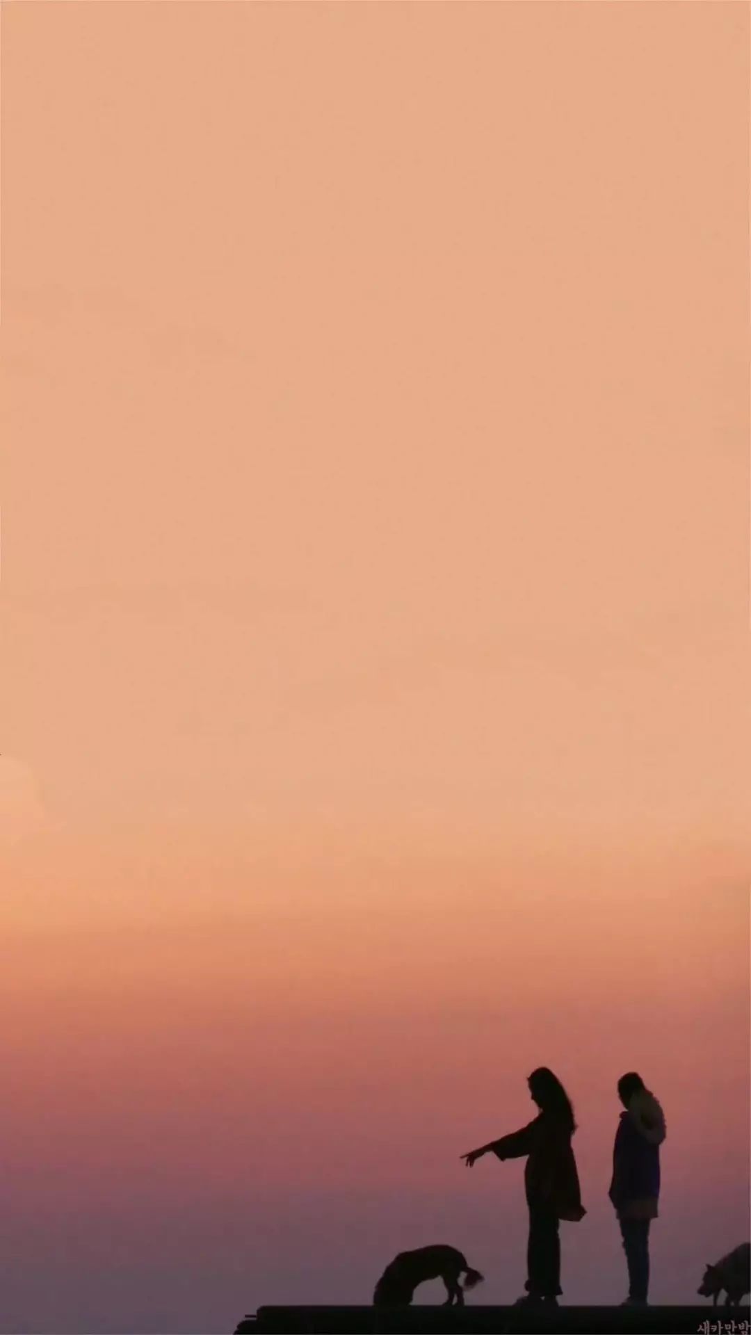 橘色壁纸生活明朗万物可爱