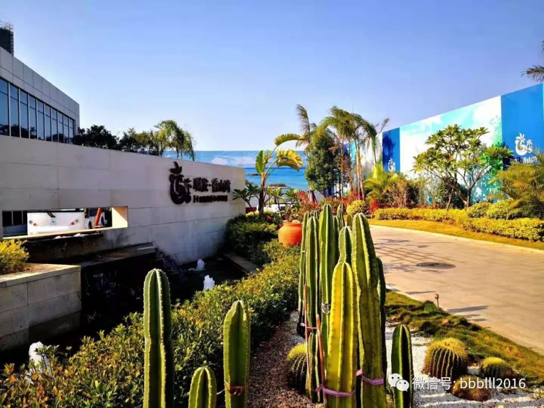 只要有你|厦门香山湾:你来与不来,都有人在这等你