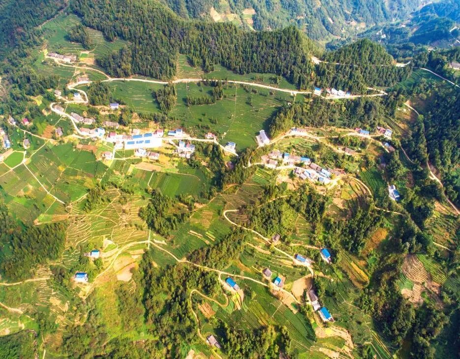 峡口村是秭归县47个重点贫困村之一,2016年启动实施整村推进精准脱贫