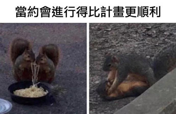 图片[14] - 【xizi被窝段子20191213】成长或许是：放下莽撞喜欢 学会适时闭嘴 - xizi