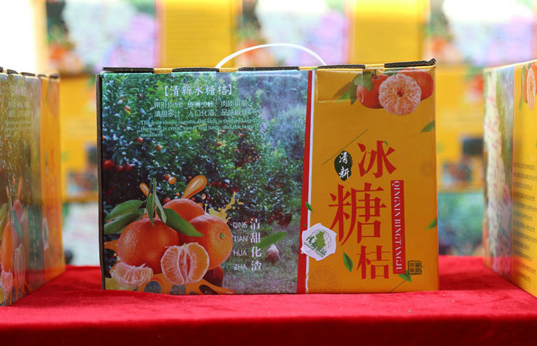 岭南佳果清新冰糖桔,一日竟然成交6000吨!