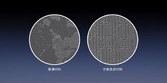 安东尼·布伦南博士受鲨鱼皮的结构启发,经过多年的反复试验,终于做出