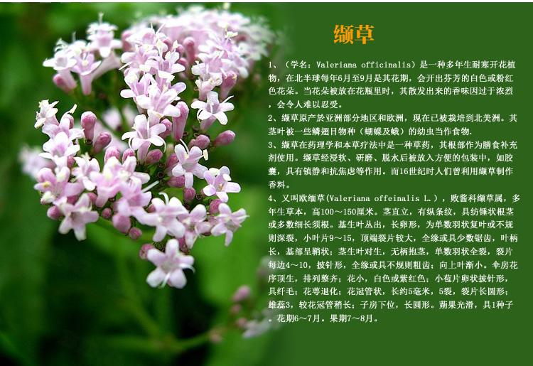 经常性夜半失眠怎么办?不妨考虑下这八种助眠食物