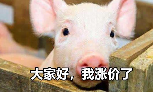 最近猪肉涨价了表情包图片