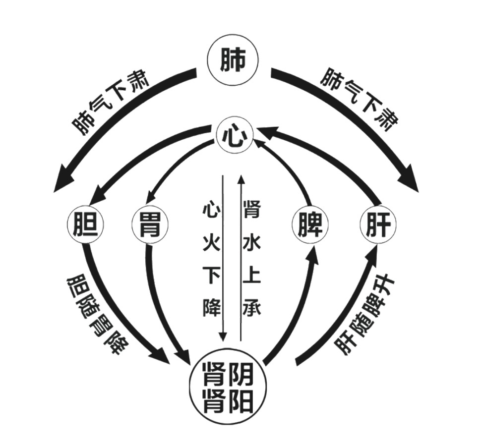 人体圆运动图图片