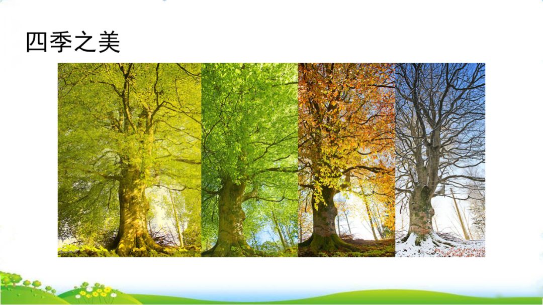 【语文课堂】部编版五年级上册第21课《四季之美》图文讲解_景物