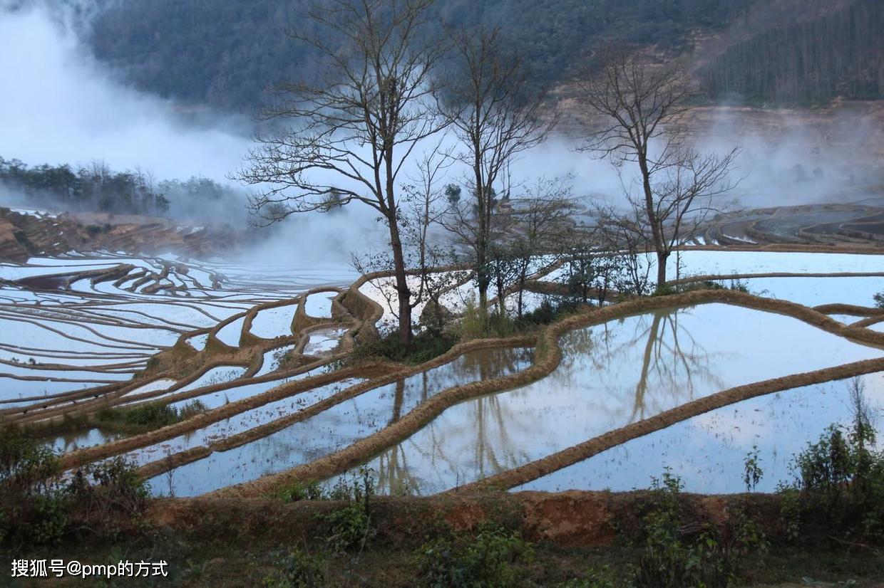 人工创造的自然美景---元阳梯田(黄草岭)