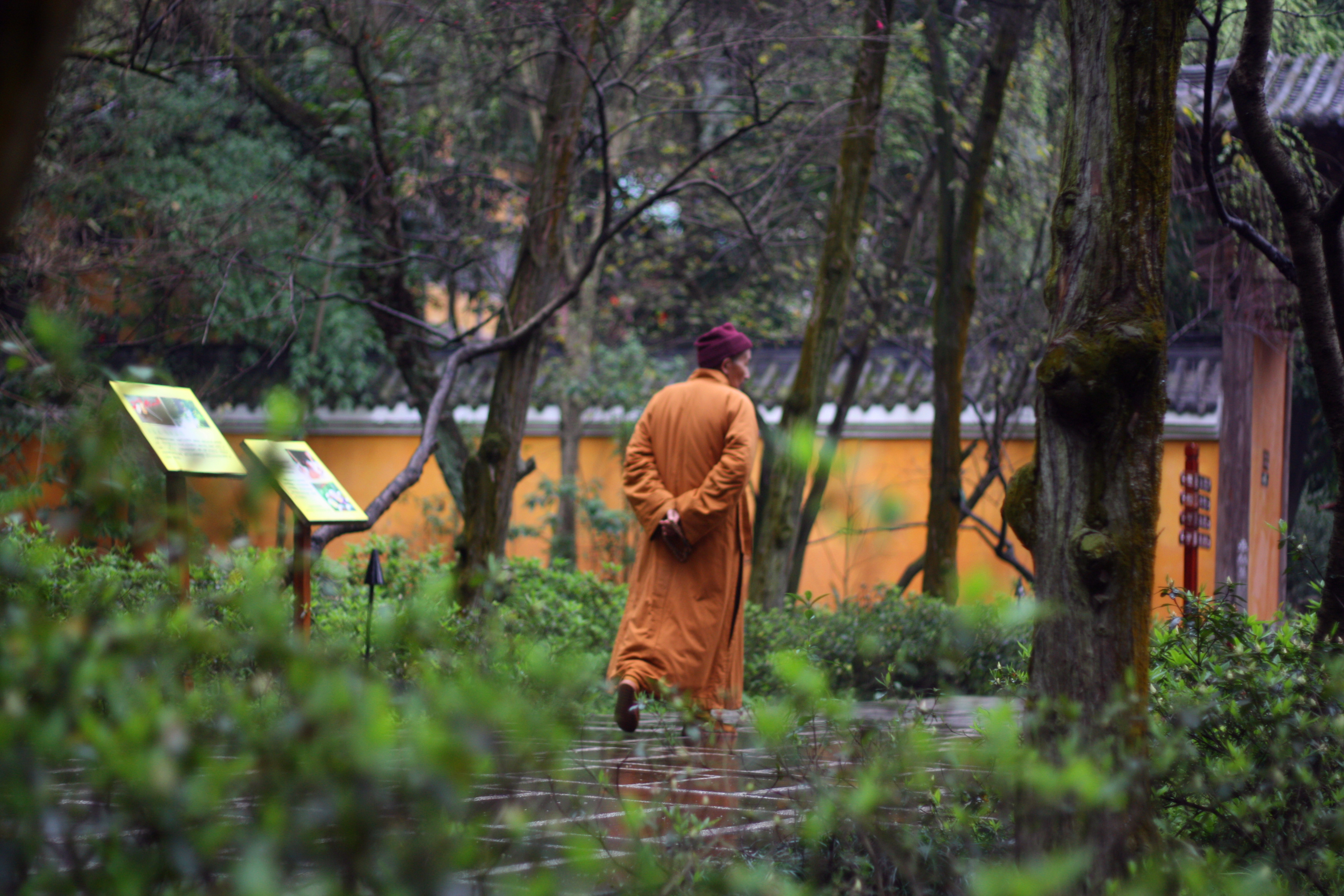 重庆北碚温泉寺图片