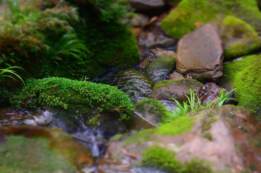 探秘同兴乡大水沟