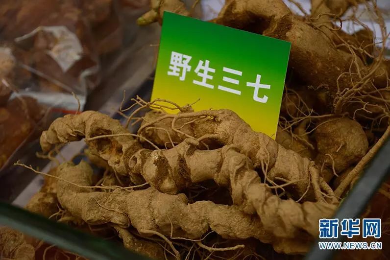 好看又中用小药材撑起云南致富大产业