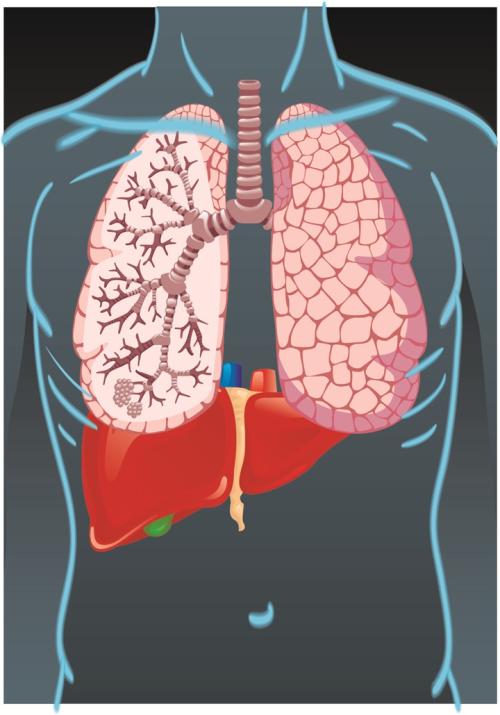 反覆腹瀉伴有消化不良和腹脹,按胃腸炎治療效果不明顯或不能根治,這點