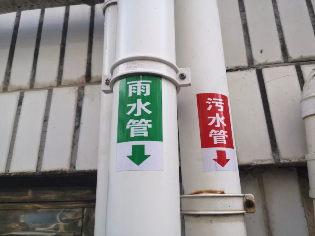 污水零直排整整7年新桥认真做好这件事