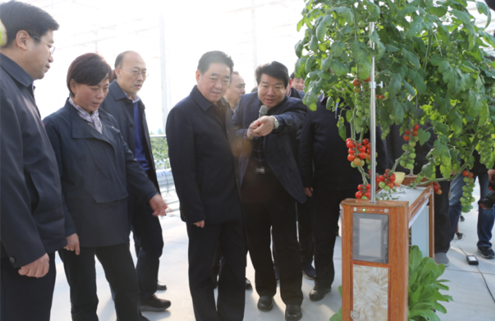 宿迁市委书记张爱军一行莅临江苏绿港承建并运营的江苏